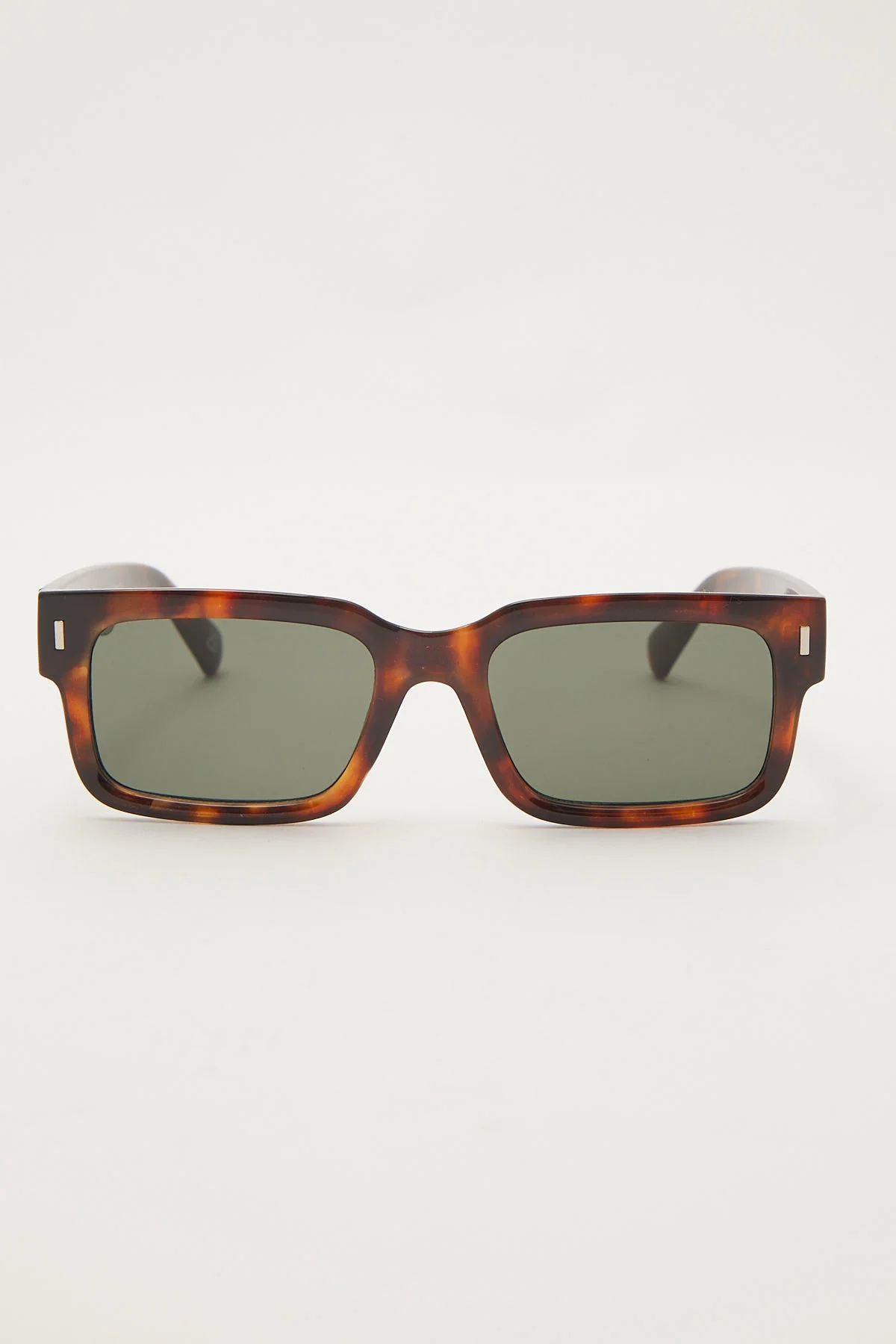 Castor Tortoise