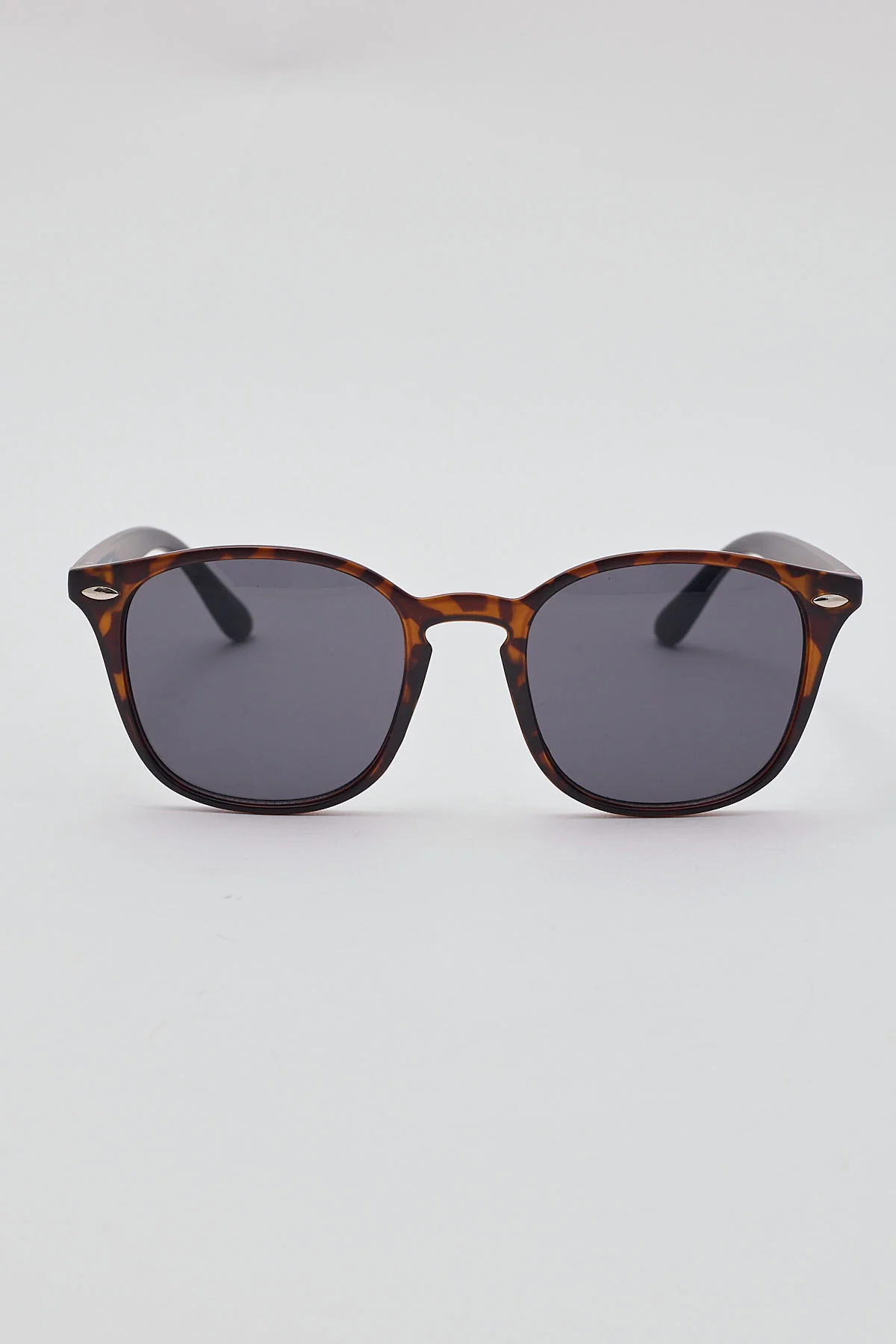All Night Tortoise